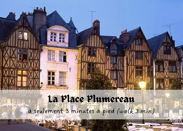 Apartment Le Saint-martin - Prestiplace Collection Tours